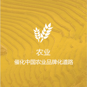 定制开发移动app